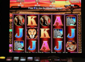 摇钱树捕鱼下载最新版